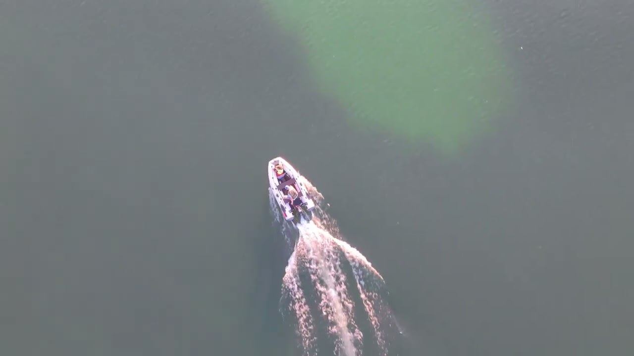 Озеро Большое смотреть онлайн