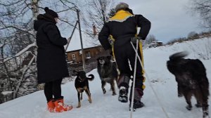 Прибытие родных и бодренькое утречко