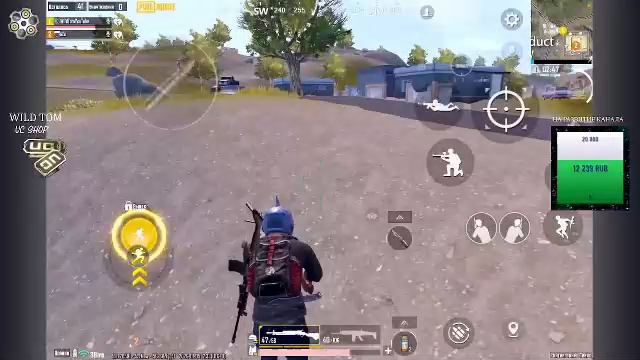LIVE: WildTom_YouTube