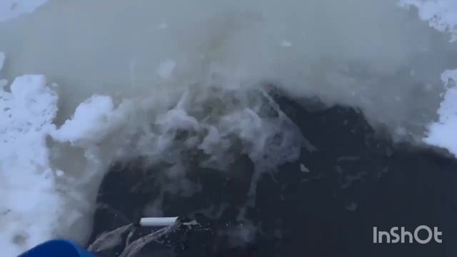 1000137494.mp4 смотреть онлайн