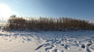 Пруд Яружанский на переломе погоды.
