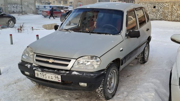 Шевинива 2004