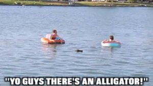 100 розыгрышей за 24 часа |Stokes Twins