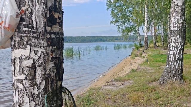 Выезд на природу смотреть онлайн