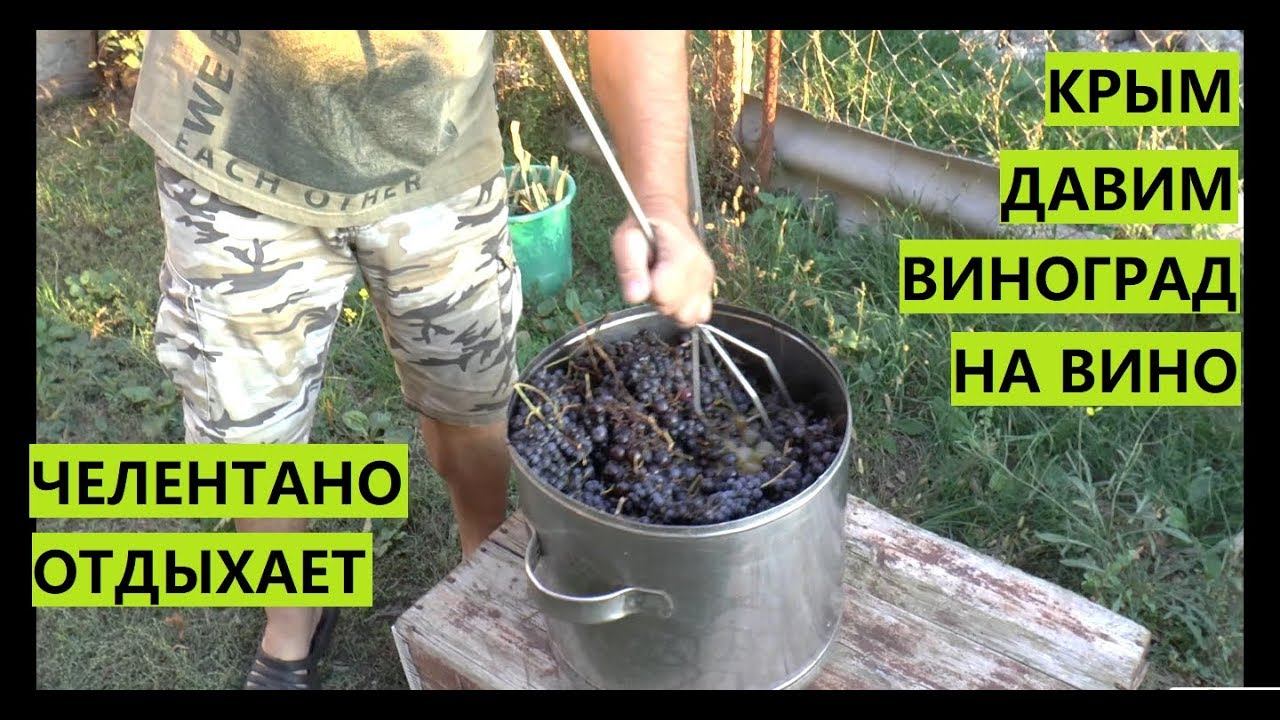 Крым. Делаем вино. Давим виноград шуруповертом. Лайфхак.