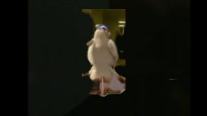 Буба в закулисье ПОЛНЫЙ ФИЛЬМ