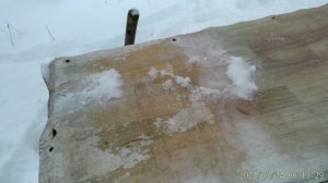 Контроль за пчëлами, 5 января.