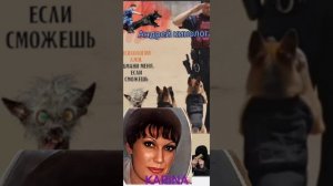 Карина и инвестиции