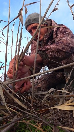 ЭТО НЕ ВСЕ ЗНАЮТ! ЛУЧШАЯ ПРИМАНКА ЗИМОЙ #астраханскийклев