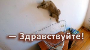 Большой улов