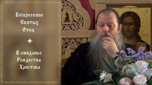 "Воскресение Святых Отец". Тема вопросов: "В ожиданье Рождества Христова". Видеоконференция. 030126.