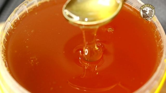 Может ли Мёд целый год быть жидким.mp4