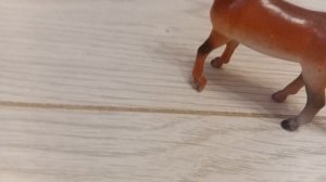 Обзор на всех моих жеребят