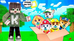 ЩЕНЯЧИЙ ПАТРУЛЬ НА ПРАЗДНИКЕ В МАЙНКРАФТ Фильм ВСЕ СЕРИИ