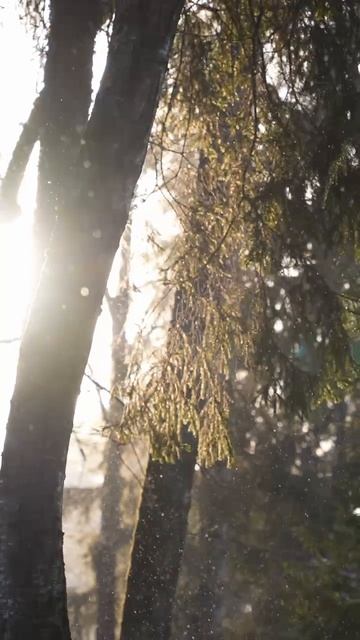 Новогодняя атмосфера смотреть онлайн