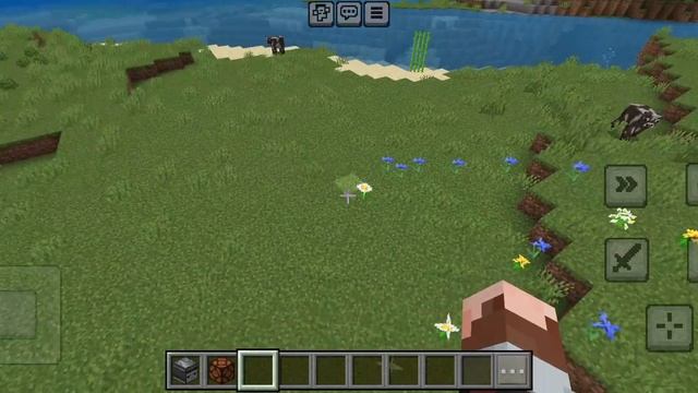 проверка лайфхаков Майнкрафта.