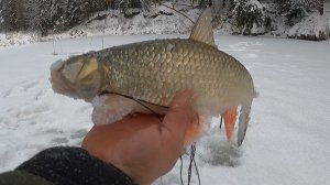 РЫБАЛКА НА КОСЫНКИ 2026. ПЕРВЫЙ УЛОВ ЭТОГО ГОДА.