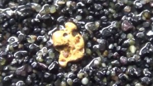 Нашёл нетронутую россыпь Золота на старом прииске!