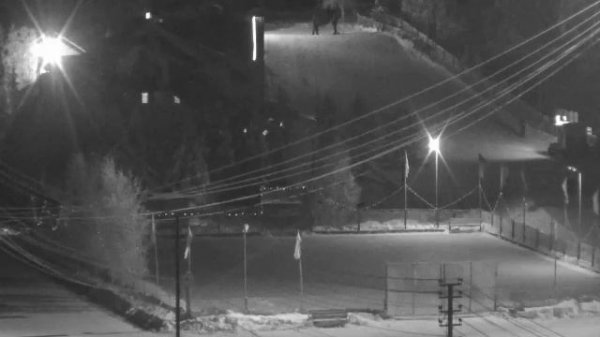 LIVE: channel39463803