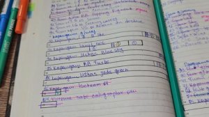 Project pan Финал