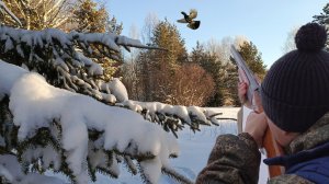 СРАЗУ ТРЁХ ВЗЯЛ! ОХОТА НА ГЛУХАРЯ В ТАЙГЕ С ПОДХОДА.