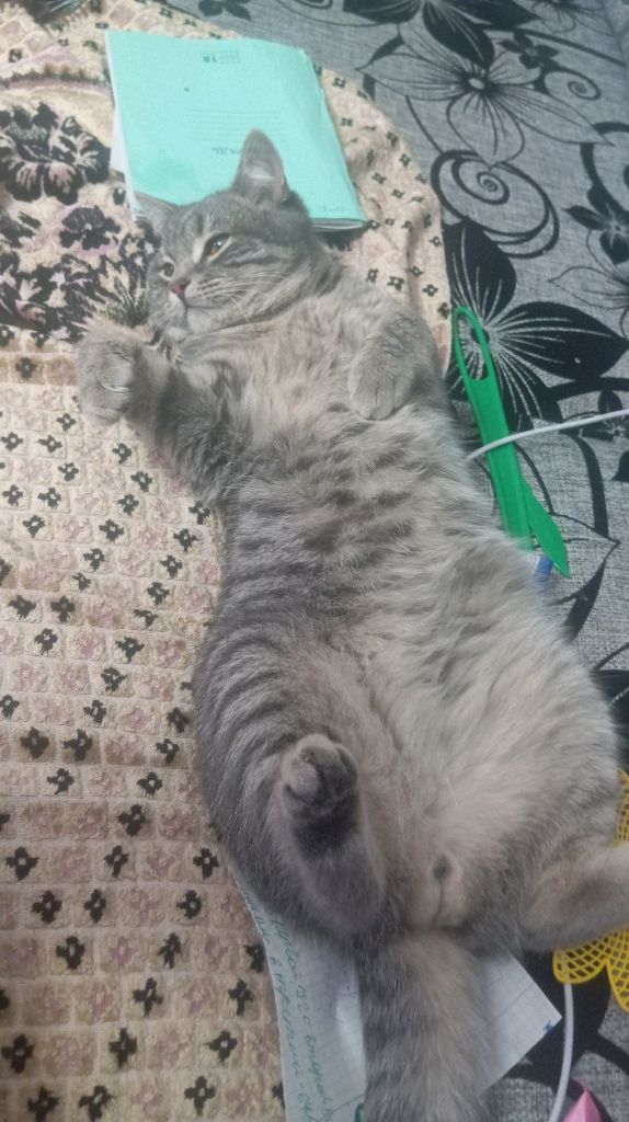 мой третий влог смотреть онлайн