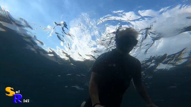 Подводный мир бухты ласпи