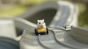 РАЗВЛЕКАТЕЛЬНОЕ ВИДЕО ДЛЯ ДЕТЕЙ