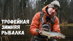 Трофейная зимняя рыбалка. Где и как поймать форель на спиннинг зимой, рассказал от А до Я.