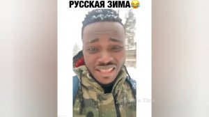 #смешныевидео -637