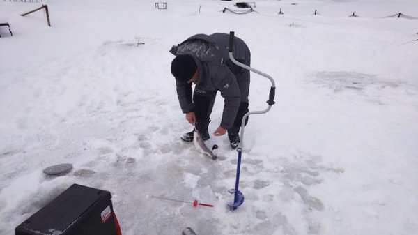 Светлые Горы Форель9 05.01.2026г.