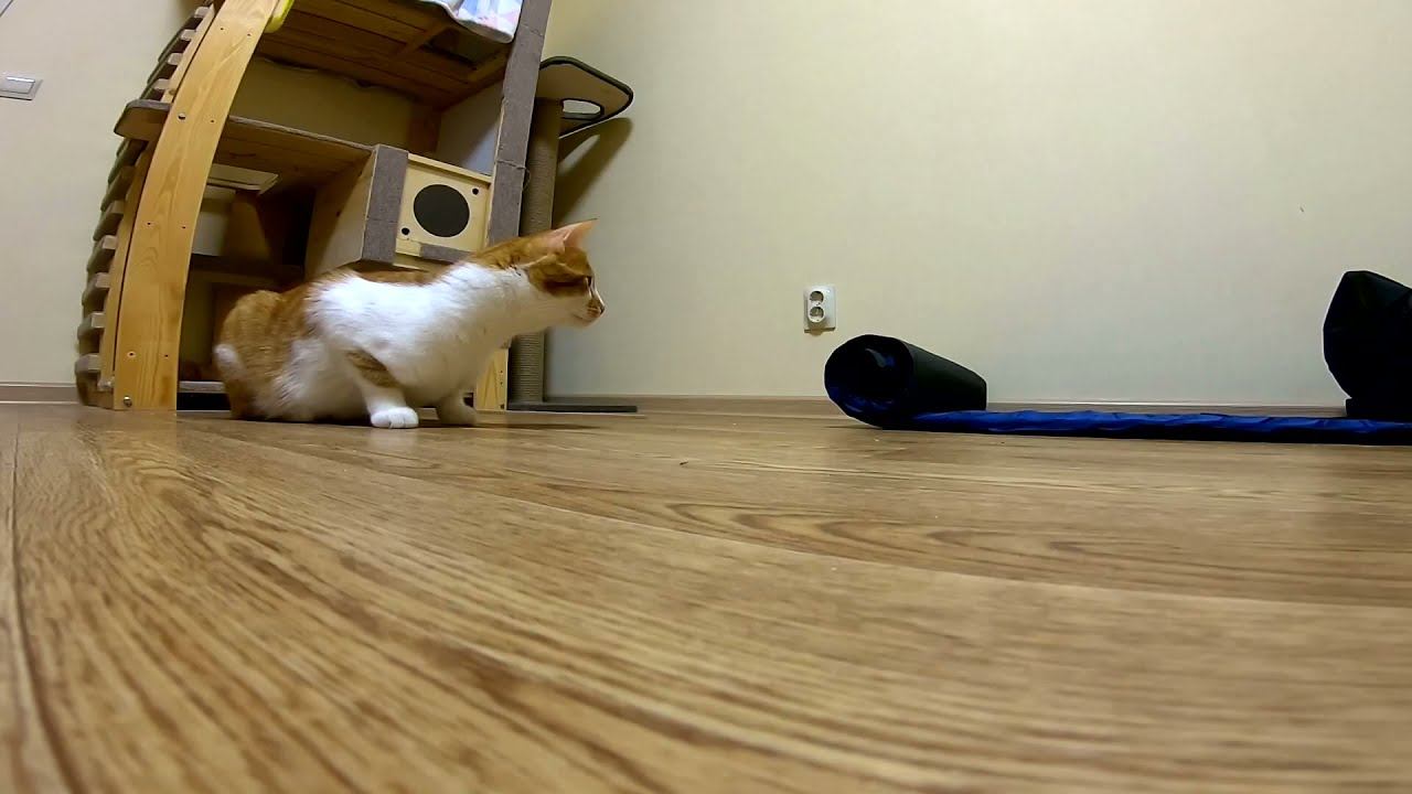 Очень страшный коврик