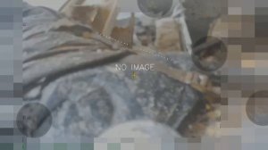 💀Колумбийской макаке устроили разрывную фотосессию.mp4