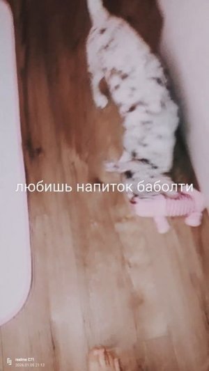 вопросы 4 серия