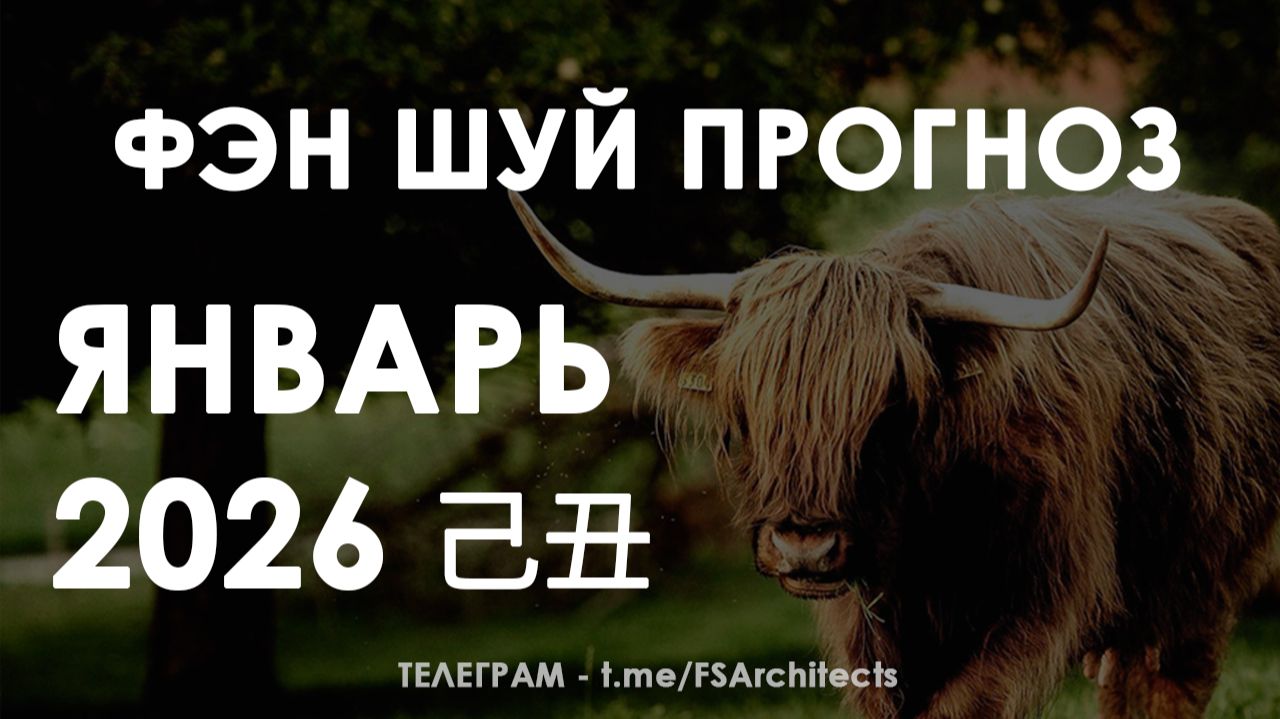 Прогноз по Фэн Шуй на Январь 2026. Карта Летящих Звёзд и безопасные зоны для дома и офиса смотреть онлайн