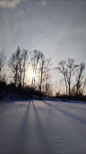 проводы года