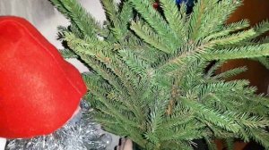 Новогодний семейный фильм