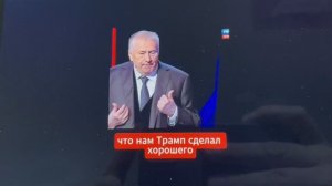 Предсказание слова  Жириновского