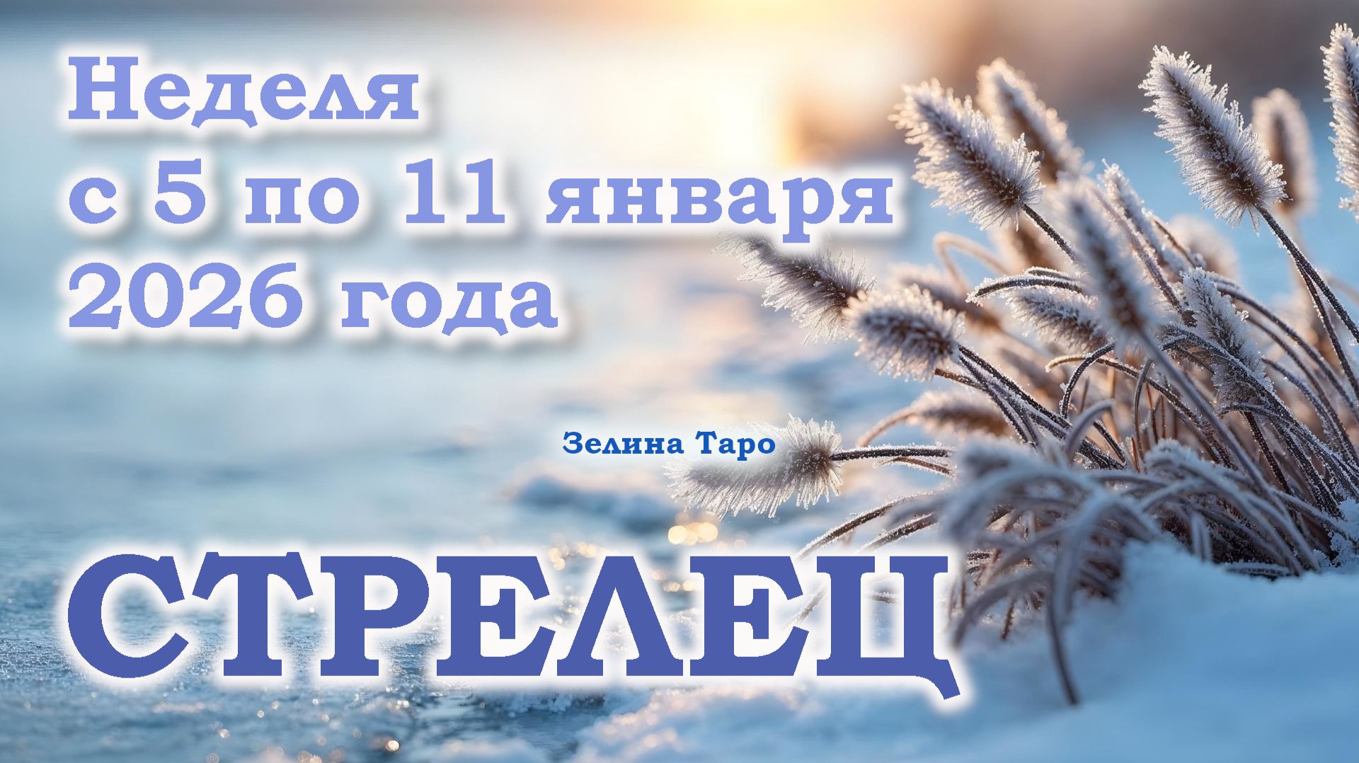 СТРЕЛЕЦ | ТАРО прогноз на неделю с 5 по 11 января 2026 года