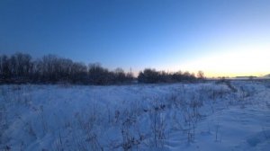 Охота на зайца 05.01.2026. в Ленинградской области сезон 2025-2026.  спешу на помощь))))