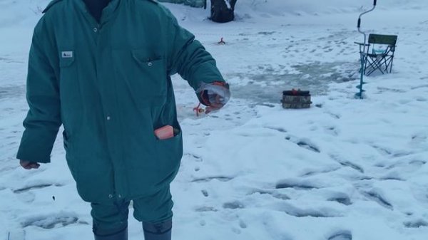 Светлые Горы Форель2 05.01.2026г.