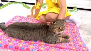 Диана и Рома на русском - Сборник лучших видео для детей  Диана И Рома