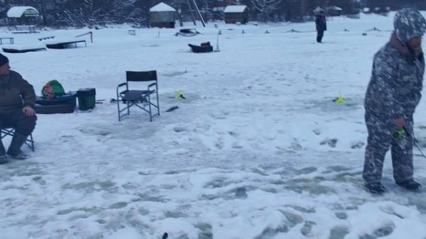 Светлые Горы Форель 05.01.2026г.