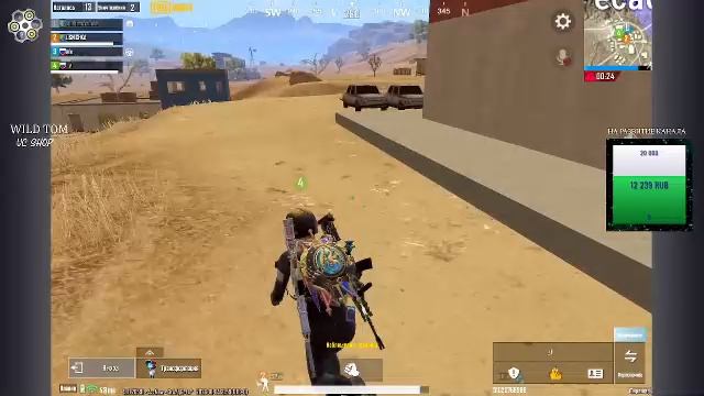 LIVE: WildTom_YouTube