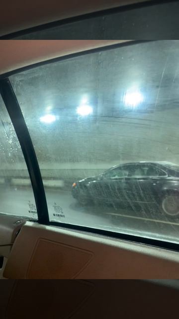 Едем на шоу сафроновых «повелители волшебства»