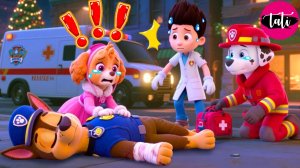 Щенячий патруль и Маршалл. Залипательное видео. Мультфильм для детей и малышей. Анимация 54