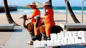 ЛУЧШИЕ ПРИКОЛЫ 2025 | ПРИКОЛЫ 2025 | СВЕЖИЕ ПРИКОЛЫ 2025 | РЖУ НЕ МОГУ |