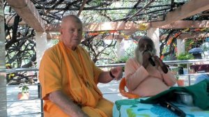 2025_10_25 | BB Govinda Swami | Лекция. Тер-кадамба, Врадж