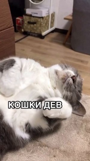 Автор видео: astrolog_marya