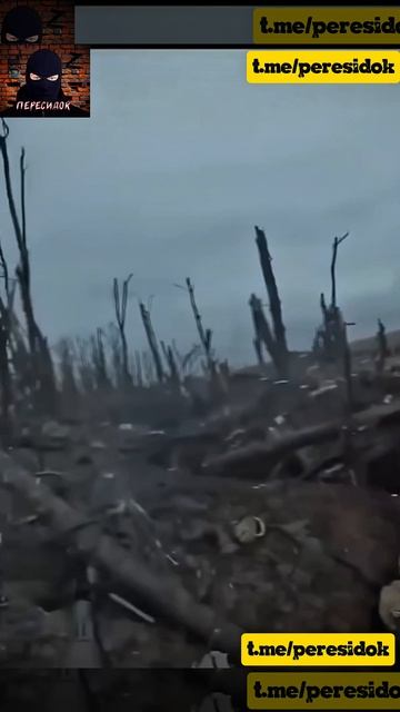 Неудачный штурм ВСУ с видом от первого лица со стороны противника смотреть онлайн